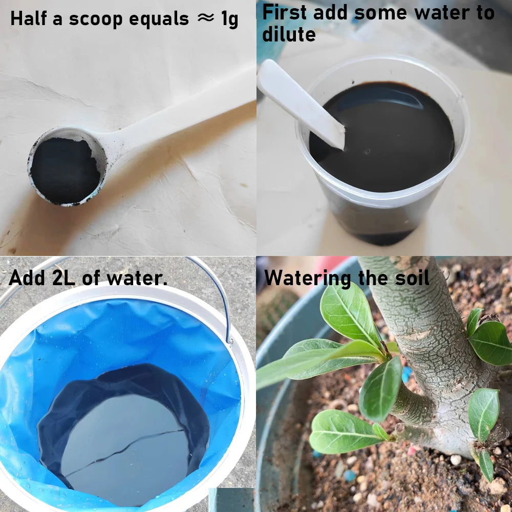 50g Seaweed Extract New Organic Fertilizer For Garden Bonsai  Helps Plants Grow Rich In Organic Matter